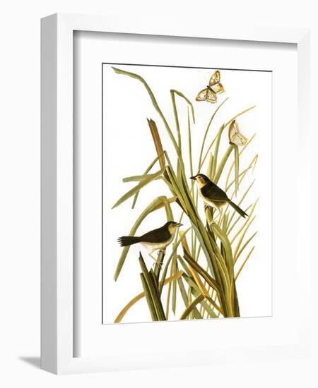 Audubon: Sparrow, 1827-John James Audubon-Framed Giclee Print