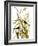 Audubon: Sparrow, 1827-John James Audubon-Framed Giclee Print