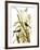 Audubon: Sparrow, 1827-John James Audubon-Framed Giclee Print