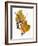 Audubon: Sparrow-John James Audubon-Framed Giclee Print