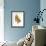 Audubon: Sparrow-John James Audubon-Framed Giclee Print displayed on a wall