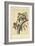 Audubon Squirrel I-John James Audubon-Framed Art Print