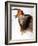 Audubon: Swallow-John James Audubon-Framed Giclee Print