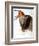 Audubon: Swallow-John James Audubon-Framed Giclee Print