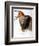 Audubon: Swallow-John James Audubon-Framed Giclee Print