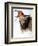 Audubon: Swallow-John James Audubon-Framed Giclee Print