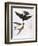 Audubon: Swallows, 1827-38-John James Audubon-Framed Premium Giclee Print