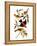 Audubon: Tanager, 1827-John James Audubon-Framed Premier Image Canvas