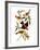 Audubon: Tanager, 1827-John James Audubon-Framed Giclee Print