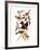 Audubon: Tanager, 1827-John James Audubon-Framed Giclee Print