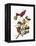 Audubon: Tanager-John James Audubon-Framed Premier Image Canvas