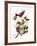 Audubon: Tanager-John James Audubon-Framed Giclee Print