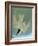 Audubon: Tern-John James Audubon-Framed Giclee Print