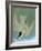 Audubon: Tern-John James Audubon-Framed Giclee Print