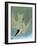 Audubon: Tern-John James Audubon-Framed Giclee Print