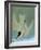 Audubon: Tern-John James Audubon-Framed Giclee Print