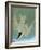 Audubon: Tern-John James Audubon-Framed Giclee Print