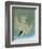 Audubon: Tern-John James Audubon-Framed Giclee Print