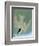 Audubon: Tern-John James Audubon-Framed Giclee Print