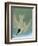 Audubon: Tern-John James Audubon-Framed Giclee Print