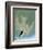 Audubon: Tern-John James Audubon-Framed Giclee Print