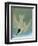 Audubon: Tern-John James Audubon-Framed Giclee Print