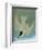 Audubon: Tern-John James Audubon-Framed Giclee Print