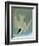 Audubon: Tern-John James Audubon-Framed Giclee Print