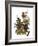 Audubon: Thrasher-John James Audubon-Framed Giclee Print