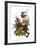 Audubon: Thrasher-John James Audubon-Framed Giclee Print