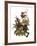 Audubon: Thrasher-John James Audubon-Framed Giclee Print