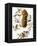 Audubon: Titmouse-John James Audubon-Framed Premier Image Canvas