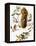 Audubon: Titmouse-John James Audubon-Framed Premier Image Canvas