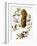 Audubon: Titmouse-John James Audubon-Framed Giclee Print