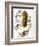 Audubon: Titmouse-John James Audubon-Framed Giclee Print