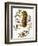 Audubon: Titmouse-John James Audubon-Framed Giclee Print