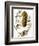 Audubon: Titmouse-John James Audubon-Framed Giclee Print