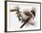 Audubon: Titmouse-John James Audubon-Framed Giclee Print