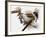 Audubon: Titmouse-John James Audubon-Framed Giclee Print