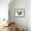 Audubon: Titmouse-John James Audubon-Framed Giclee Print displayed on a wall