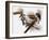 Audubon: Titmouse-John James Audubon-Framed Giclee Print