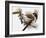 Audubon: Titmouse-John James Audubon-Framed Giclee Print