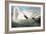 Audubon: Trumpeter Swan-John James Audubon-Framed Giclee Print