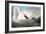 Audubon: Trumpeter Swan-John James Audubon-Framed Giclee Print