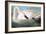 Audubon: Trumpeter Swan-John James Audubon-Framed Giclee Print