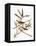 Audubon: Vireo-John James Audubon-Framed Premier Image Canvas