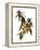 Audubon: Warbler, 1827-38-John James Audubon-Framed Premier Image Canvas