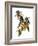 Audubon: Warbler, 1827-38-John James Audubon-Framed Giclee Print