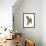 Audubon: Warbler, 1827-38-John James Audubon-Framed Giclee Print displayed on a wall