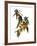 Audubon: Warbler, 1827-38-John James Audubon-Framed Giclee Print